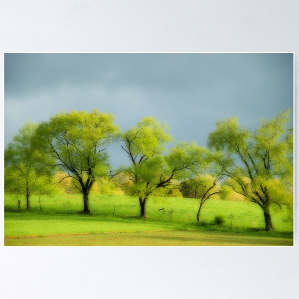 Artikelvorschau, Spring Willows entworfen und verkauft von Michael Dreese.