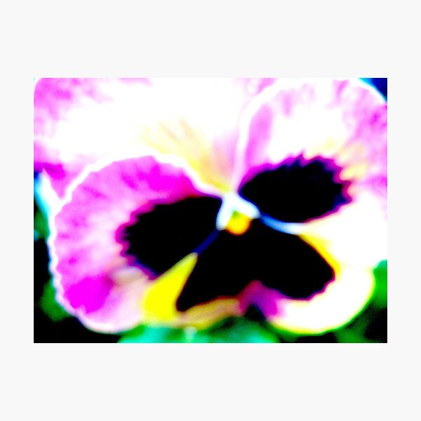 Item preview, Funky Pansy designed and sold by MarianBendeth.