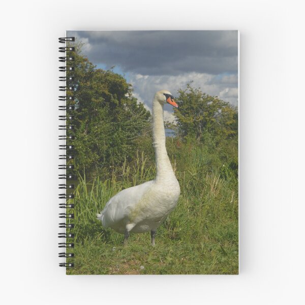 Item preview, Proud Swan designed and sold by Narrowboatgirl.