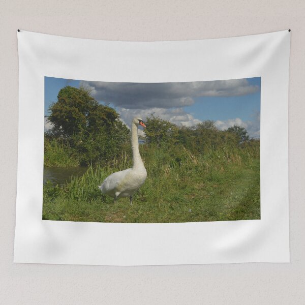 Item preview, Proud Swan designed and sold by Narrowboatgirl.