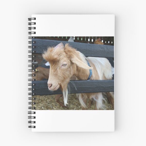 Item preview, You've Goat To Be Kidding Me designed and sold by LPYLPhotography.