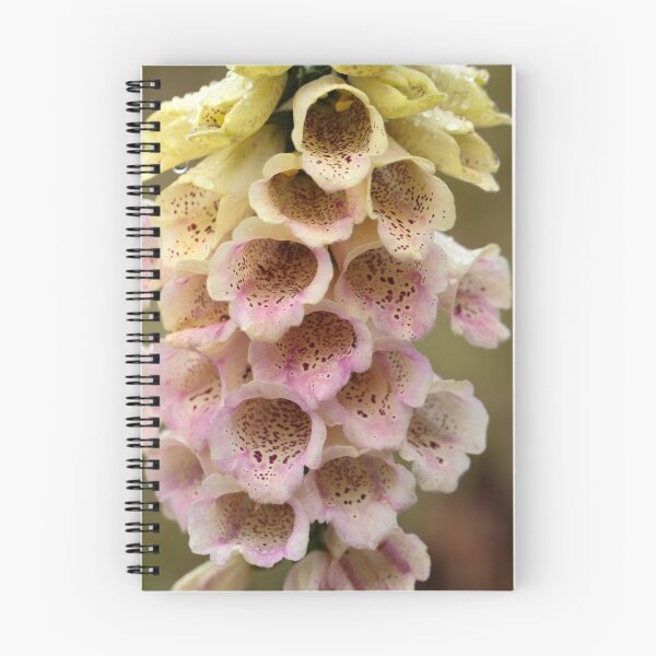 Item preview, Common Foxclove Flowers designed and sold by Zosimus.