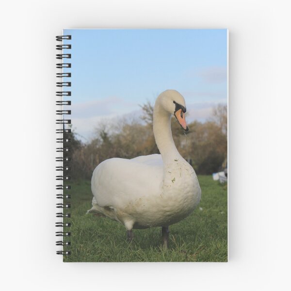 Item preview, Swan and Narrowboat designed and sold by Narrowboatgirl.