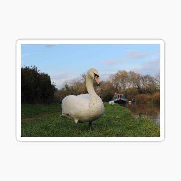 Item preview, Swan and Narrowboat designed and sold by Narrowboatgirl.