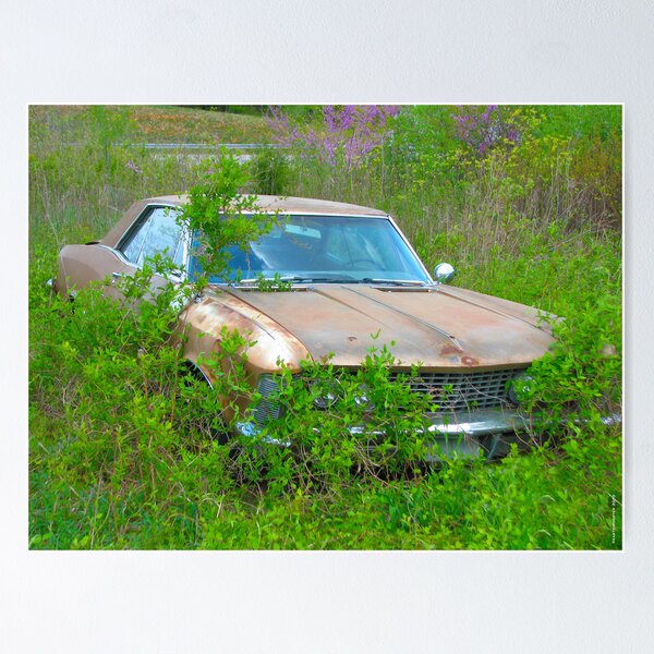 Item preview, Hillbilly Riviera II designed and sold by Route66.