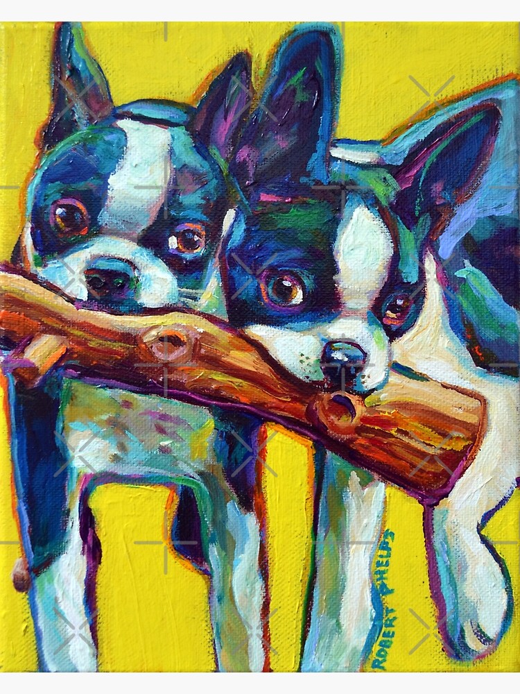 Disover Cute Boston Terrier Puppies by Robert Phelps Premium Matte Vertical Poster