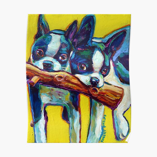 Cute Boston Terrier Puppies by Robert Phelps Poster