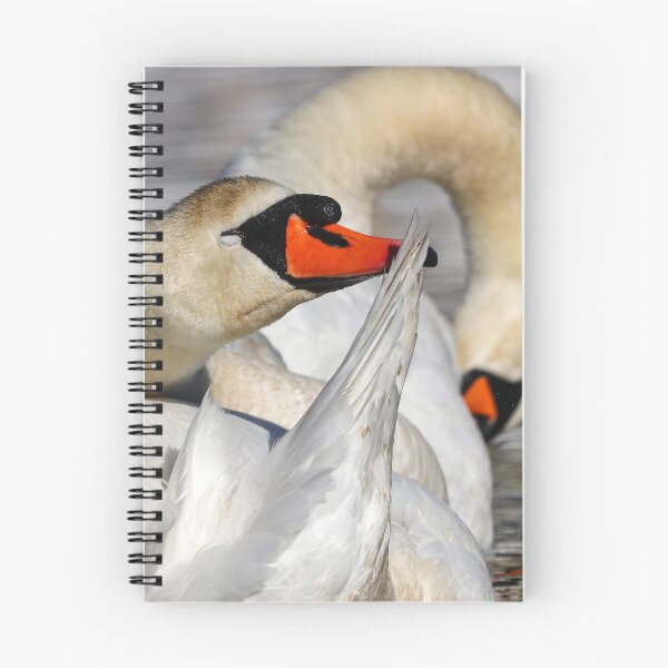 Item preview, Blissful designed and sold by GreyFeatherPhot.