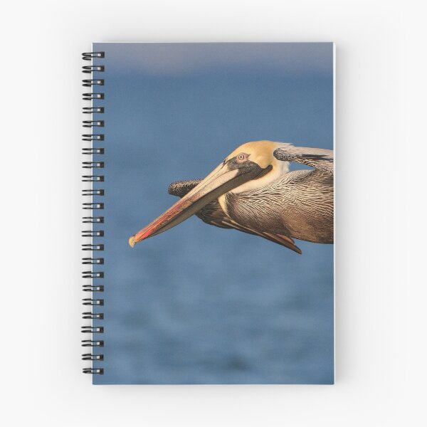Item preview, Pelican Glide designed and sold by WorldDesign.