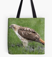 Tenacious Tote Bag