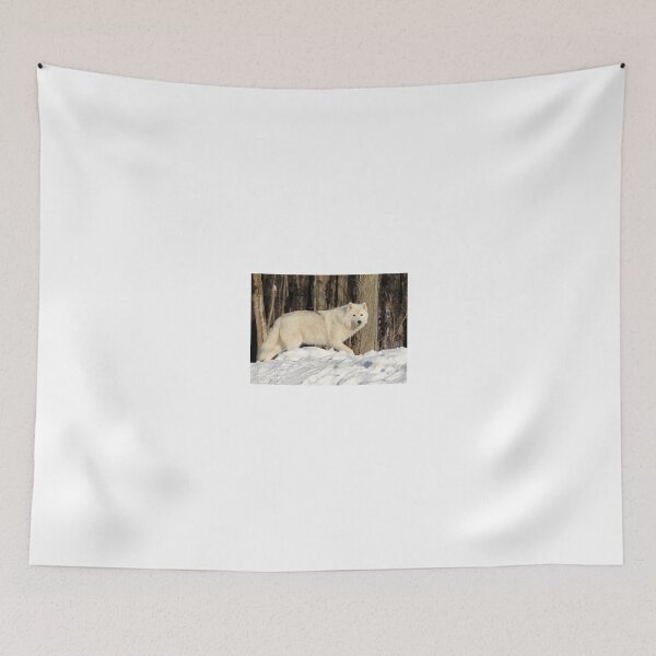 Item preview, Beautiful Arctic Wolf. designed and sold by vette.