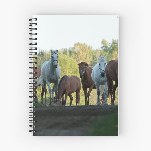 Item preview, Even Horses Don't Have Great Mornings designed and sold by Tracey  Dryka.