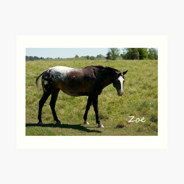 Zoe - NNEP Ottawa, ON Art Print
