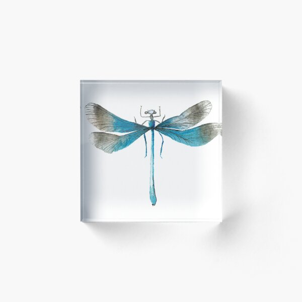 Damselfly Acrylic Block