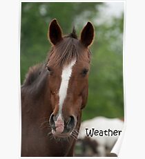Weather - NNEP Ottawa, ON Poster