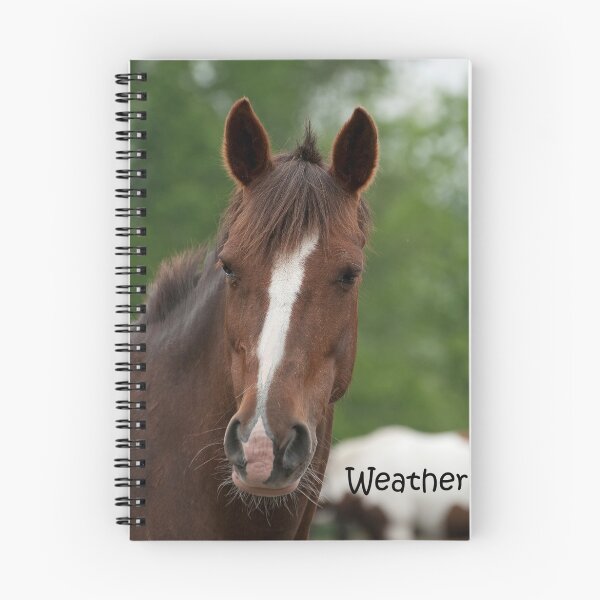 Item preview, Weather - NNEP Ottawa, ON designed and sold by Tracey  Dryka.