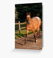 Patch - NNEP Ottawa, ON Greeting Card