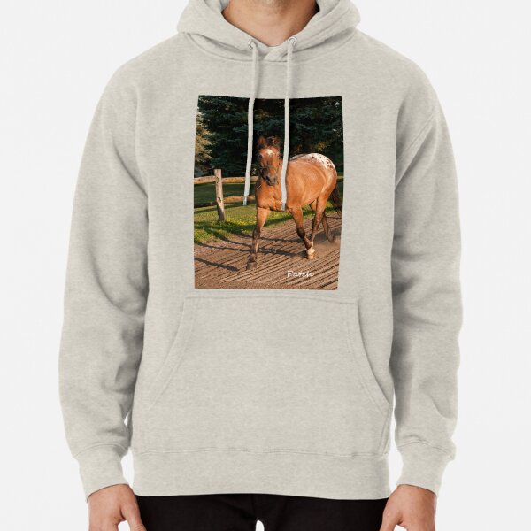 Patch - NNEP Ottawa, ON Pullover Hoodie