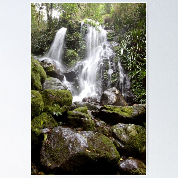Item preview, Chalahn Falls, Lamington National Park designed and sold by smallan.