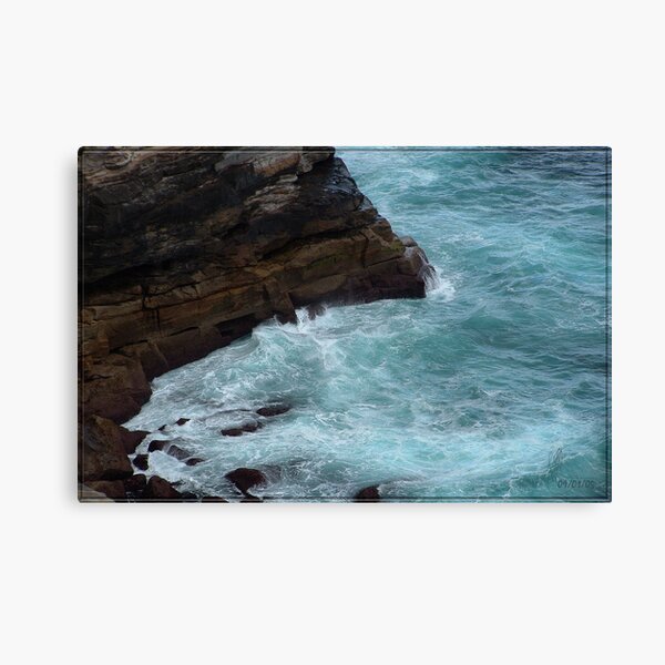 South Head Sydney Canvas Print