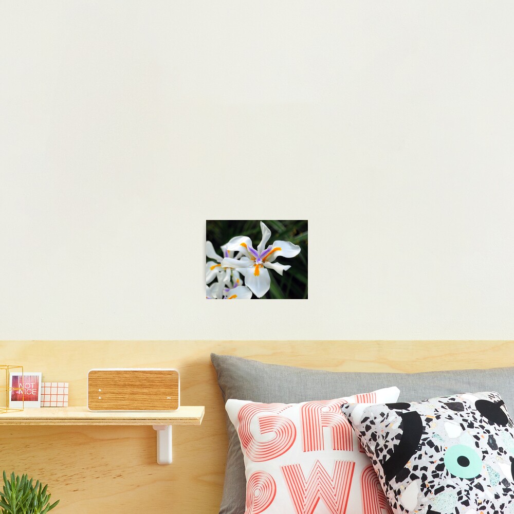 Item preview, Photographic Print designed and sold by shellbee.