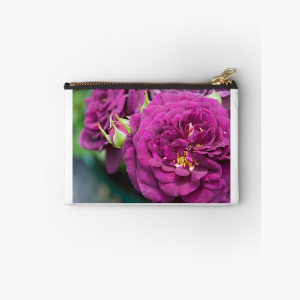 Item preview, Floribunda Rose 'Ebb Tide' designed and sold by Dency Kane.