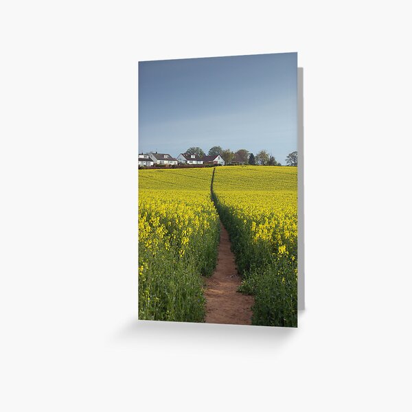 Brassica napus path Greeting Card