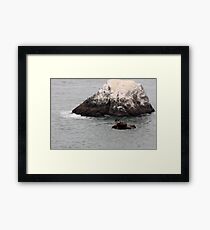 Hunt Framed Print
