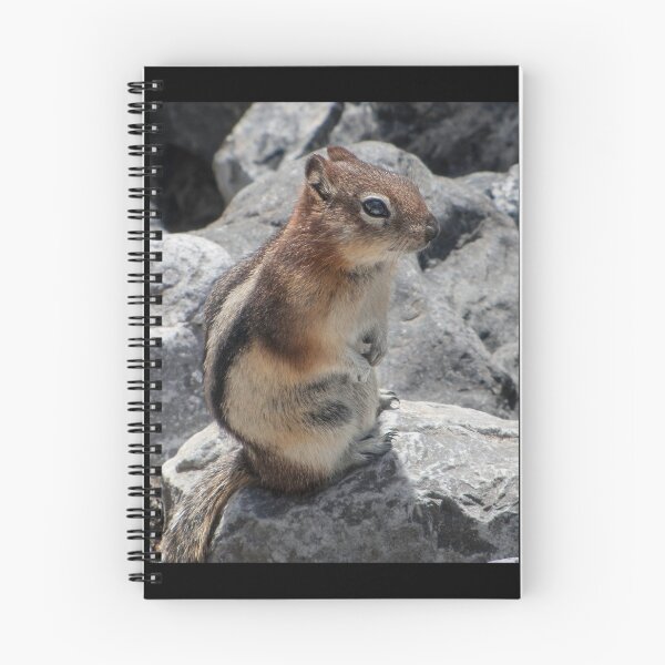 Item preview, Little Squirrel designed and sold by DPalmer.