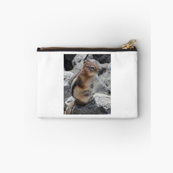 Item preview, Little Squirrel designed and sold by DPalmer.