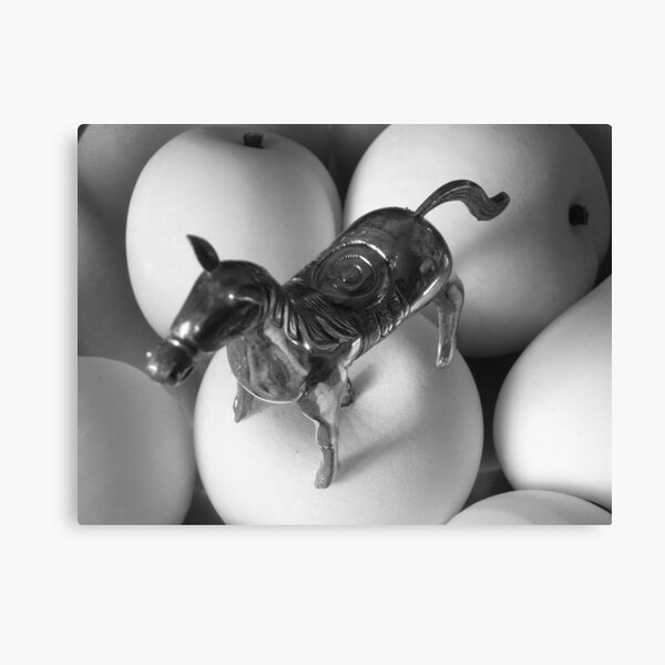 CARRARA Canvas Print