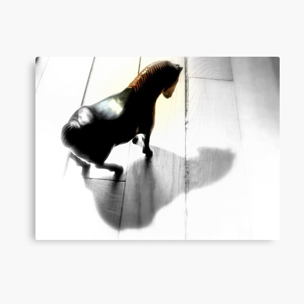 SILVER Canvas Print