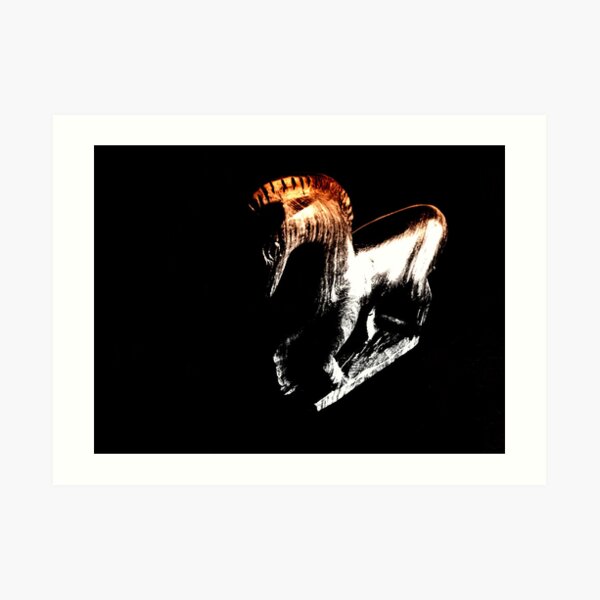 NIGER Art Print