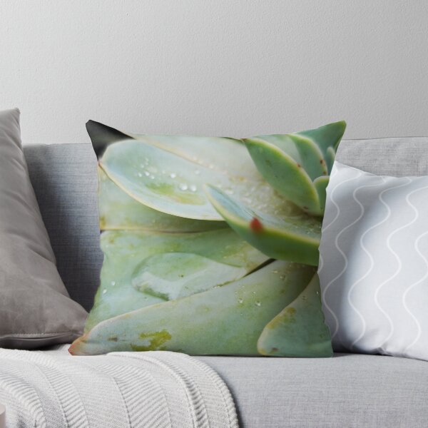 Item preview, Raining Succulent  designed and sold by girlywolf1207.