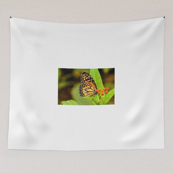 Item preview, abs butterfly designed and sold by pcfyi.