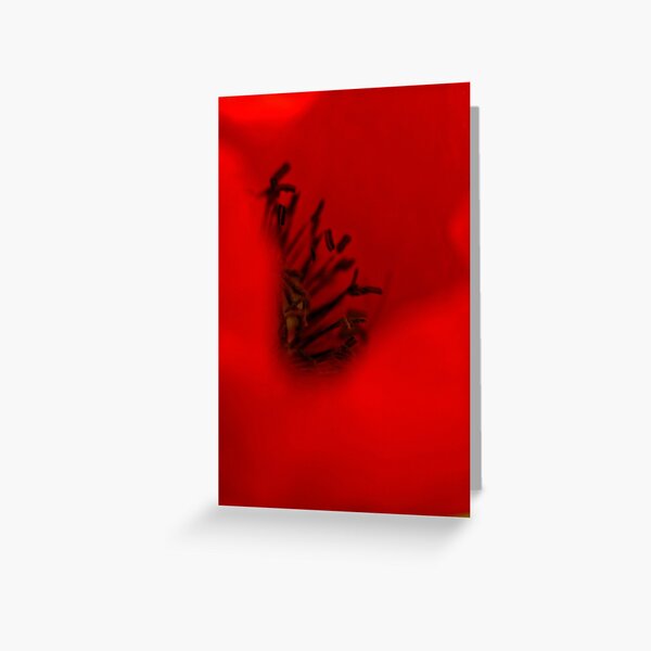 In-Red Greeting Card