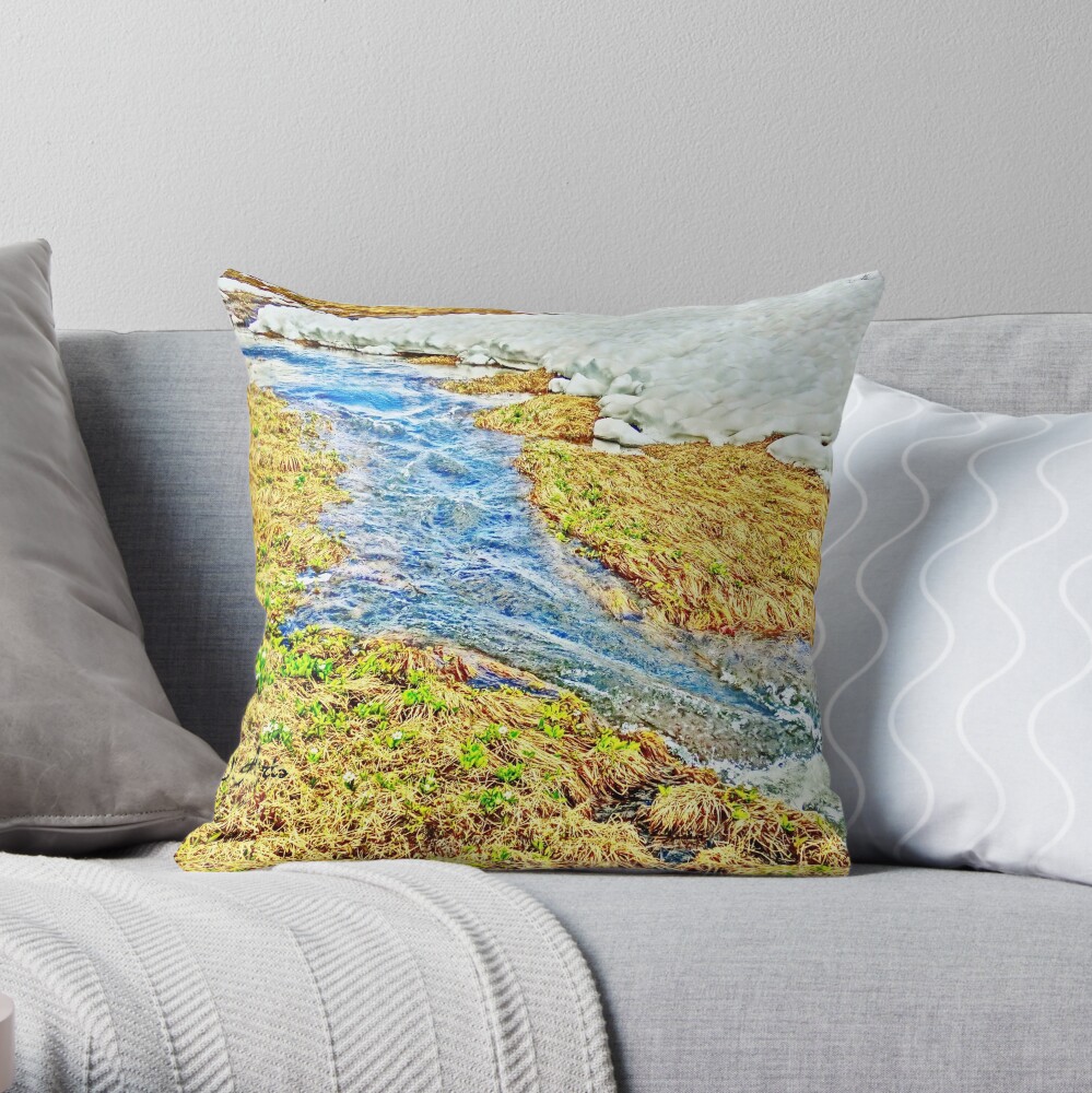 Item preview, Throw Pillow designed and sold by 32DARTS.