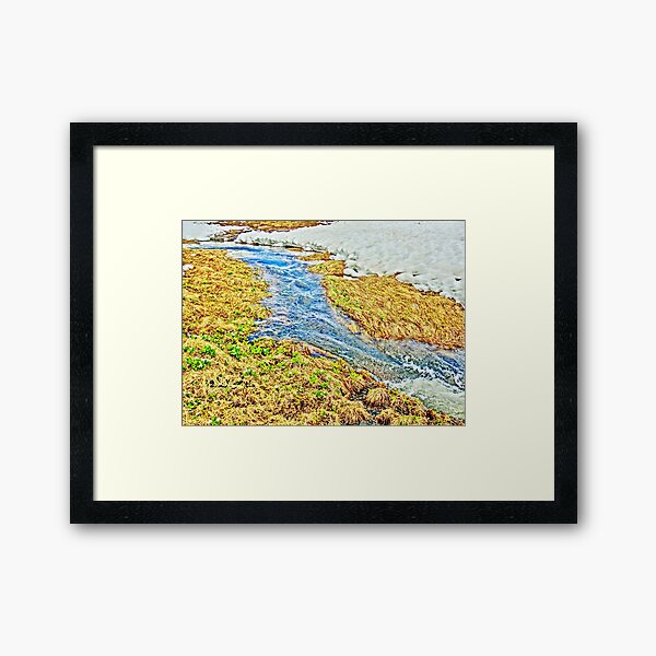 Framed Art Print