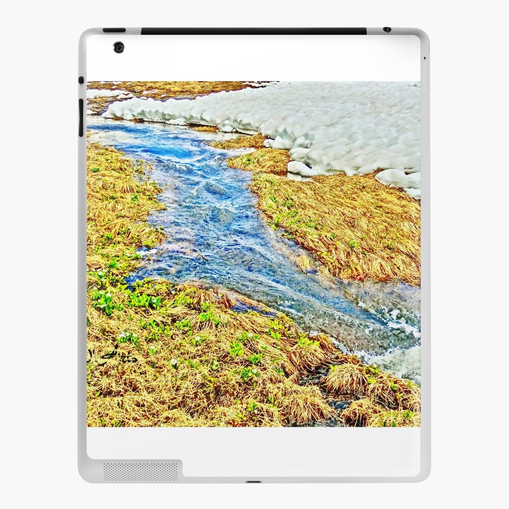 Item preview, iPad Skin designed and sold by 32DARTS.