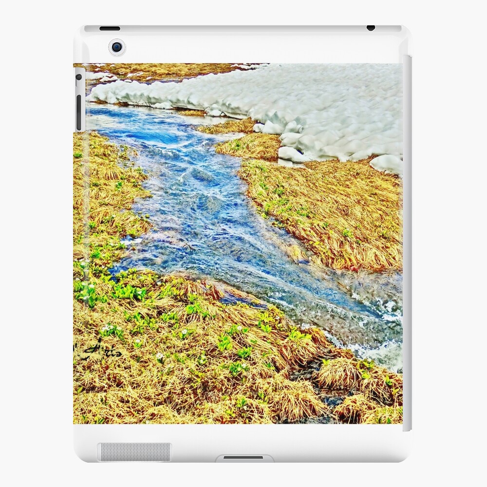 Item preview, iPad Snap Case designed and sold by 32DARTS.