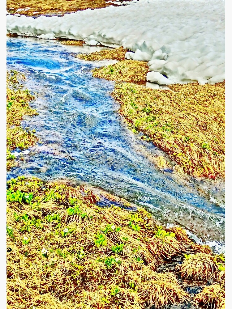 Roaring Fork River, Headwaters No.8 by 32DARTS