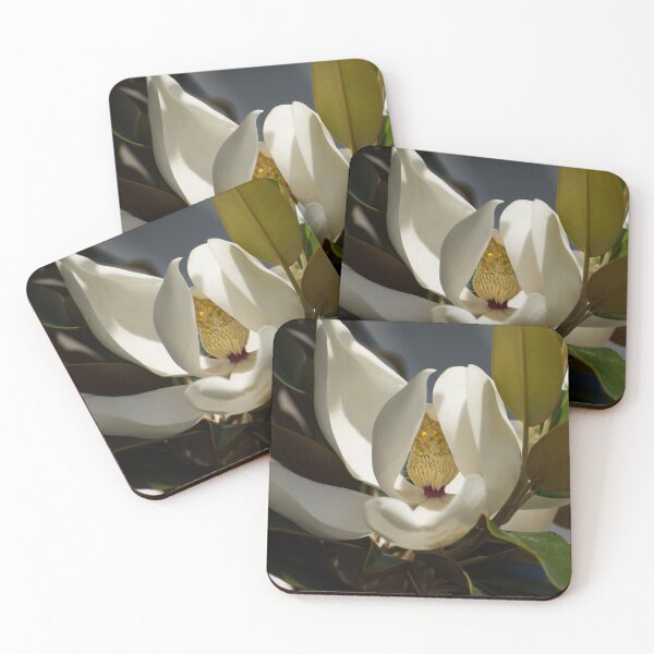 Item preview, Magnolia Grandiflora designed and sold by Zina Stromberg.