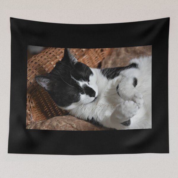 Item preview, Sleeping Smudge  designed and sold by DonnaM.