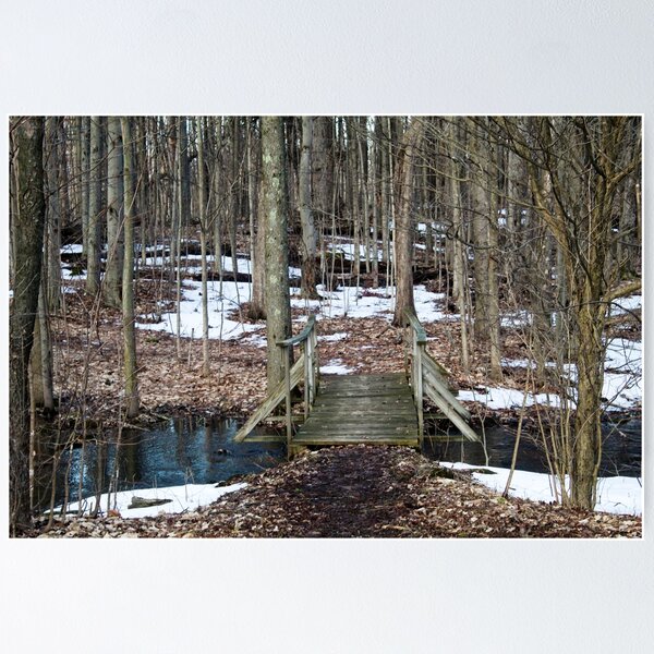 Item preview, Nichols Pond Bridge designed and sold by dave-settle.