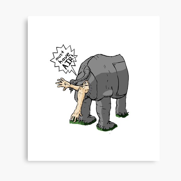 Curious Little Rhino Canvas Print