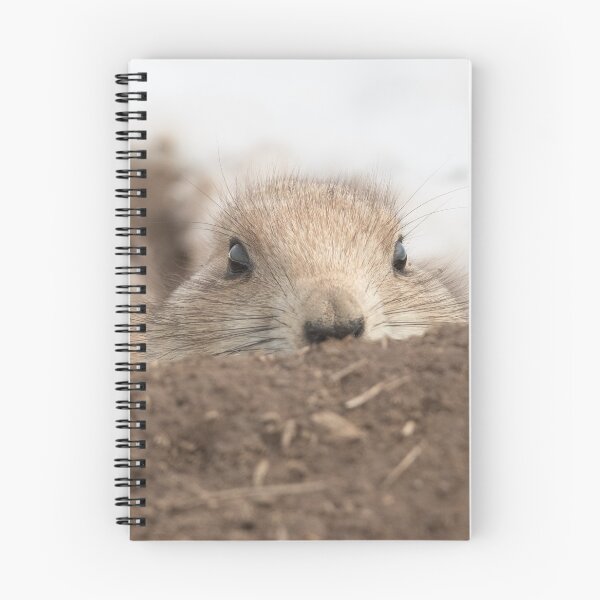 Item preview, A shy little guy designed and sold by Eivor Kuchta.