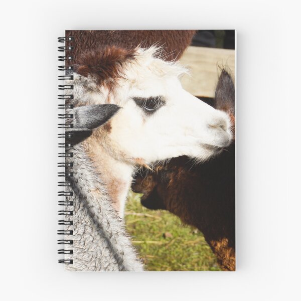Item preview, alpaca designed and sold by Anne Scantlebury.
