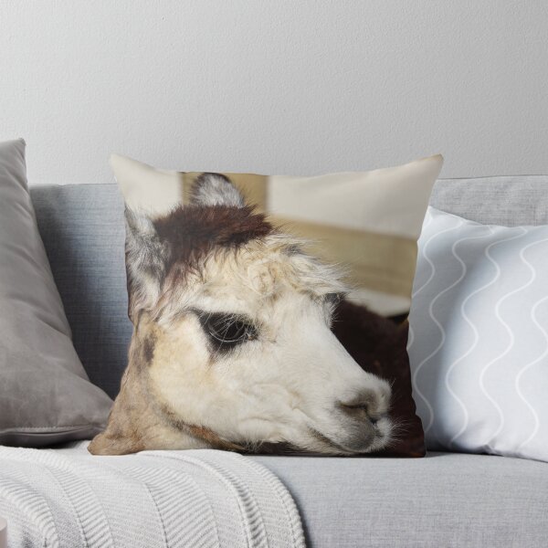 Item preview, alpaca designed and sold by Anne Scantlebury.
