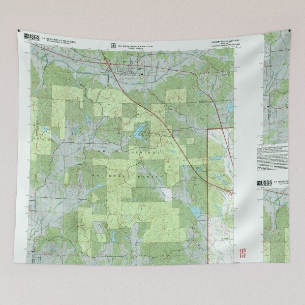 Item preview, USGS TOPO Map Mississippi MS Hickory Flat 335798 2000 24000 designed and sold by WetdryvacRBO2.