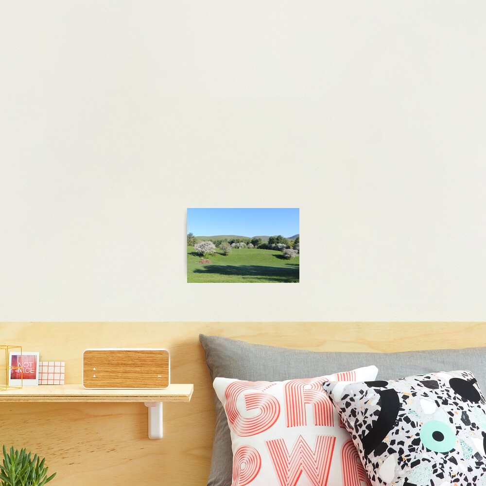 Item preview, Photographic Print designed and sold by ChereeCheree.